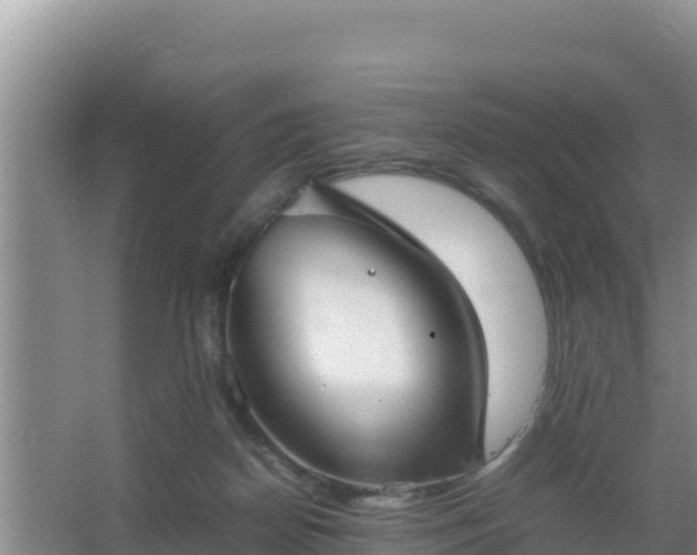 X0000067500170200604150117