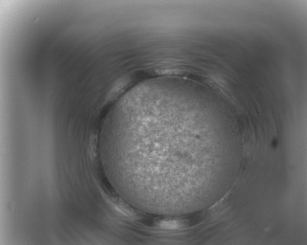 X0000067500171200604150117