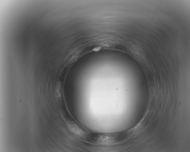 X0000067500174200604150117