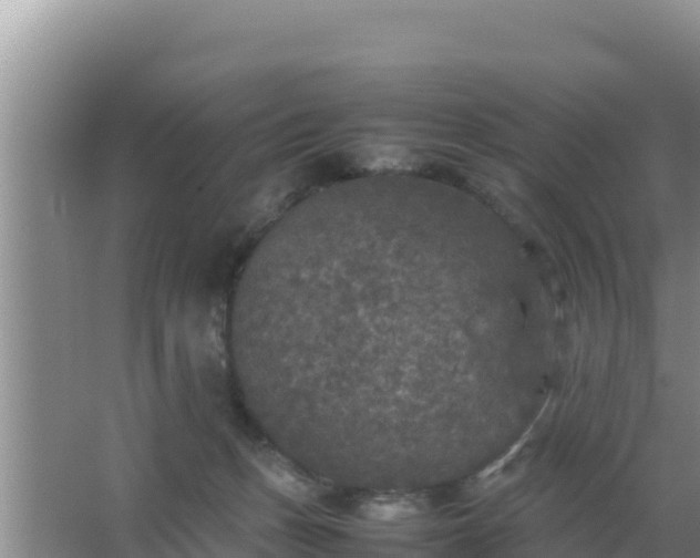 X0000067500175200604150117