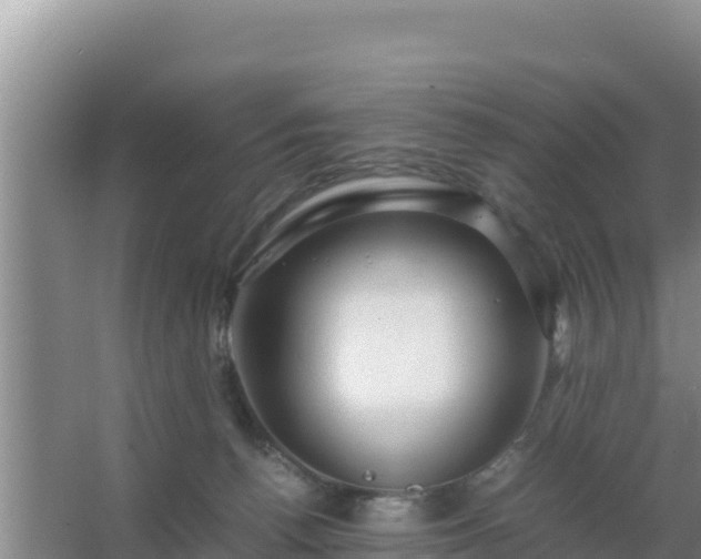 X0000067500176200604150117