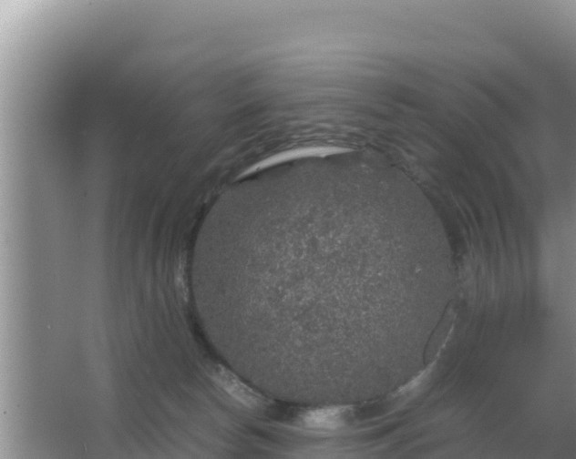 X0000067500178200604150117