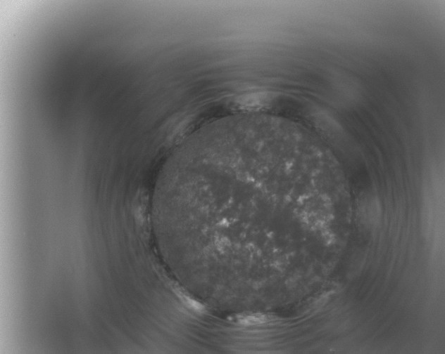 X0000067500181200604150117