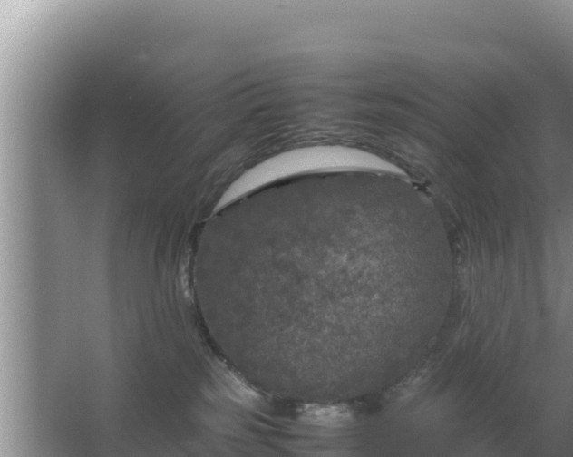 X0000067500185200604150117