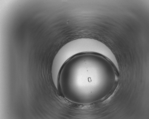 X0000067500186200604150117