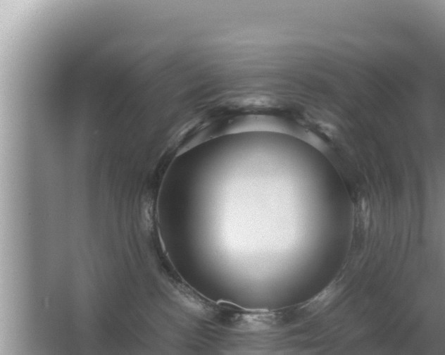 X0000067500188200604150117