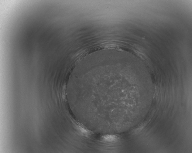 X0000067500189200604150117