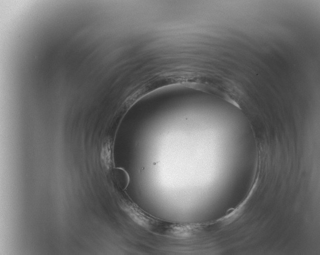 X0000067500190200604150117