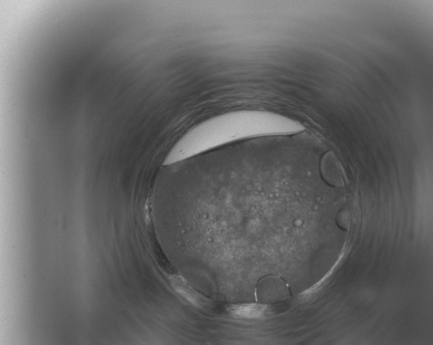 X0000067500191200604150117