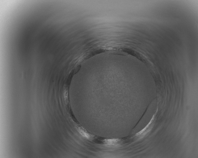 X0000067500192200604150117