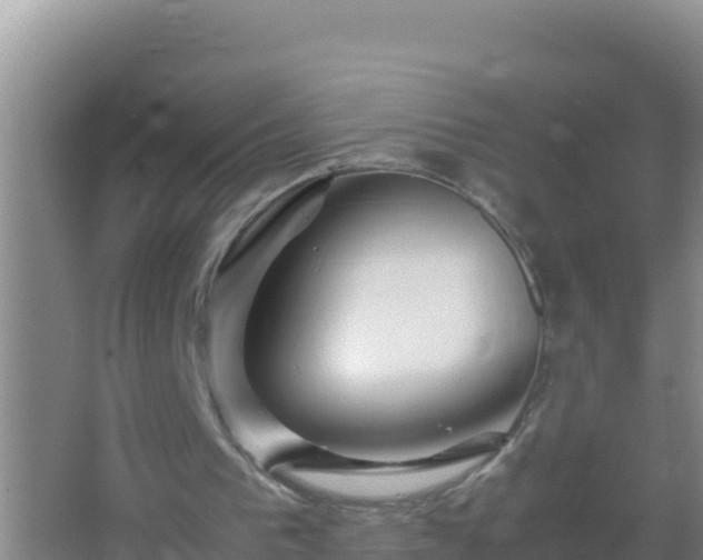 X0000067500193200604150116