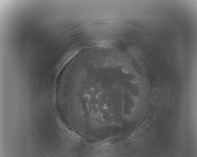 X0000067500194200604150116