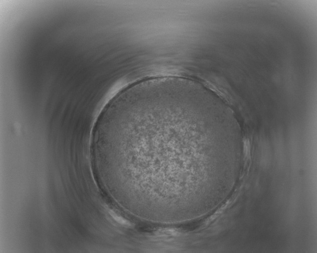 X0000067500195200604150116