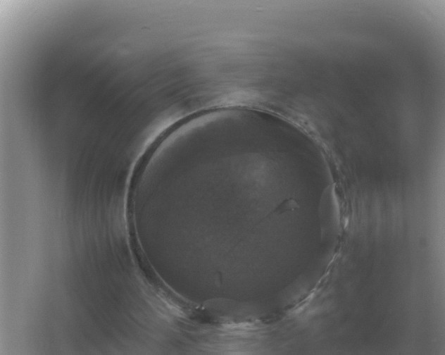 X0000067500196200604150116