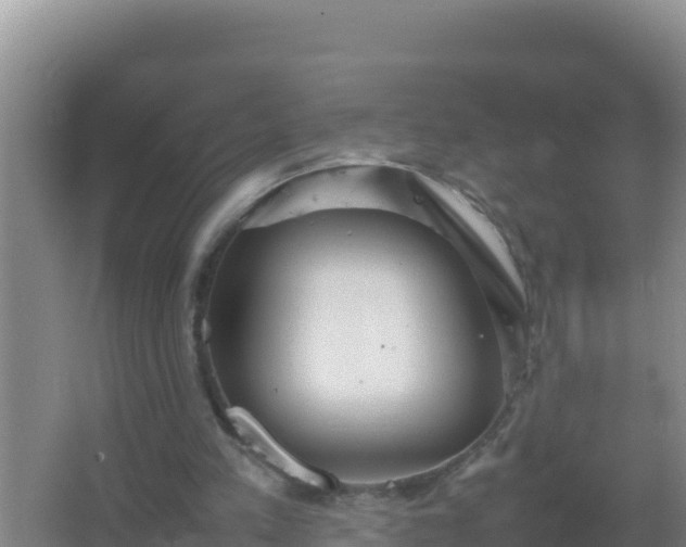 X0000067500197200604150116