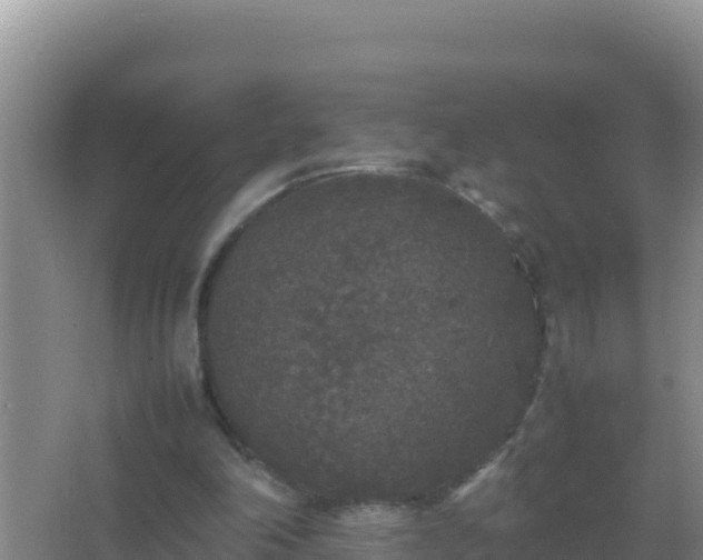 X0000067500198200604150116