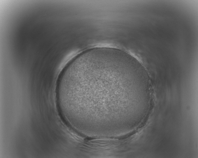 X0000067500199200604150116