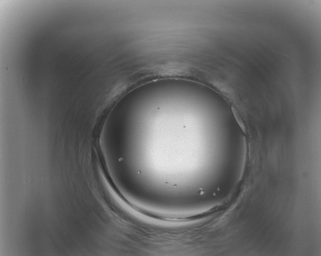 X0000067500201200604150116