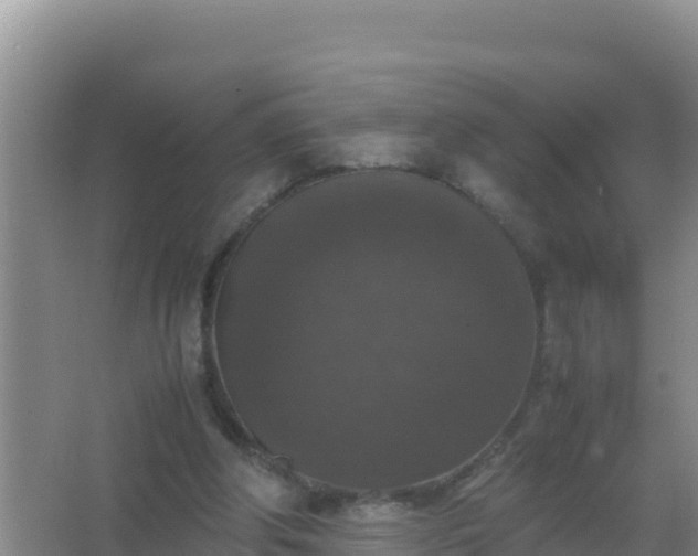 X0000067500202200604150116