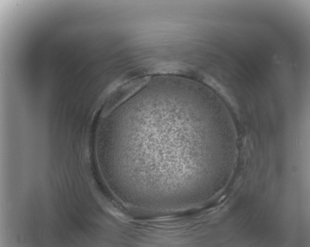 X0000067500203200604150116