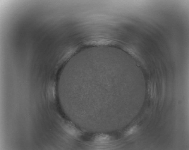 X0000067500206200604150116