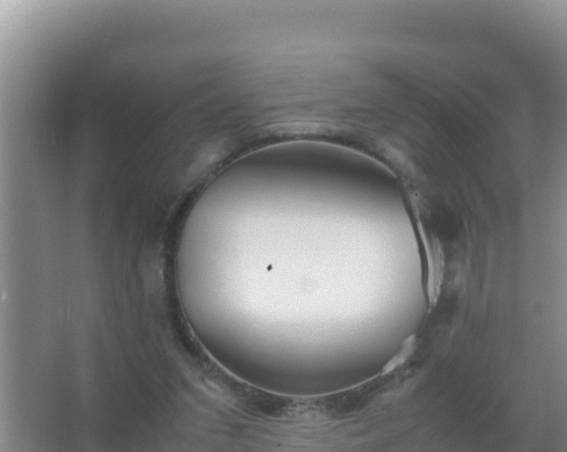 X0000067500207200604150116