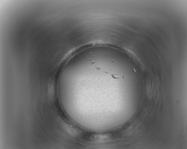 X0000067500208200604150116