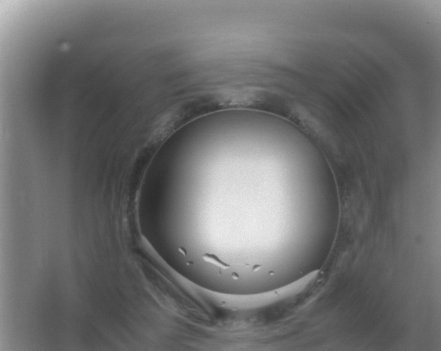 X0000067500209200604150116