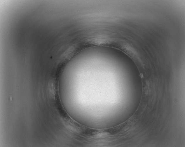 X0000067500210200604150116