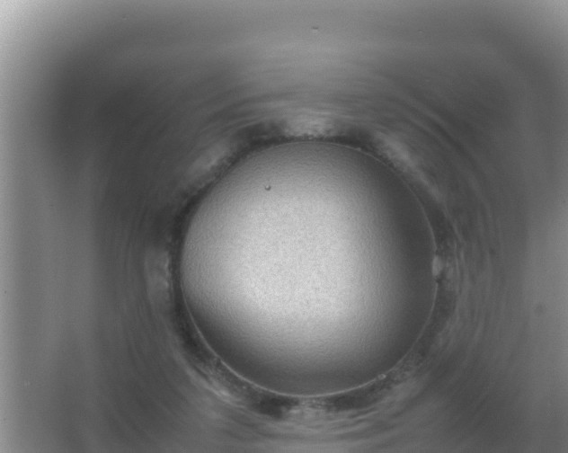 X0000067500211200604150116