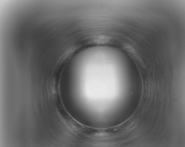 X0000067500212200604150116