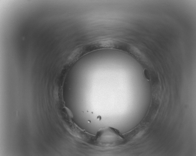 X0000067500213200604150116