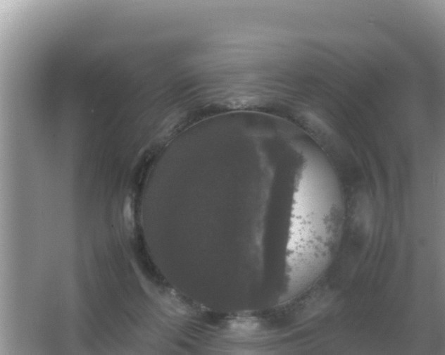 X0000067500214200604150116