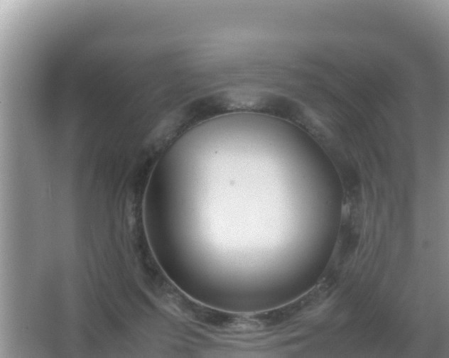 X0000067500215200604150116