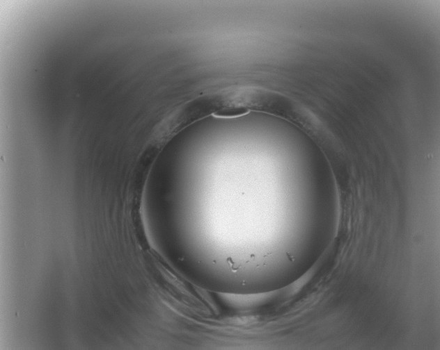 X0000067500217200604150116