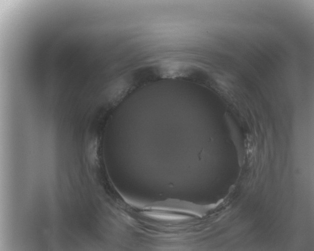 X0000067500219200604150116