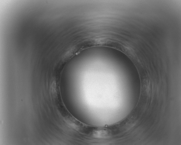 X0000067500220200604150116