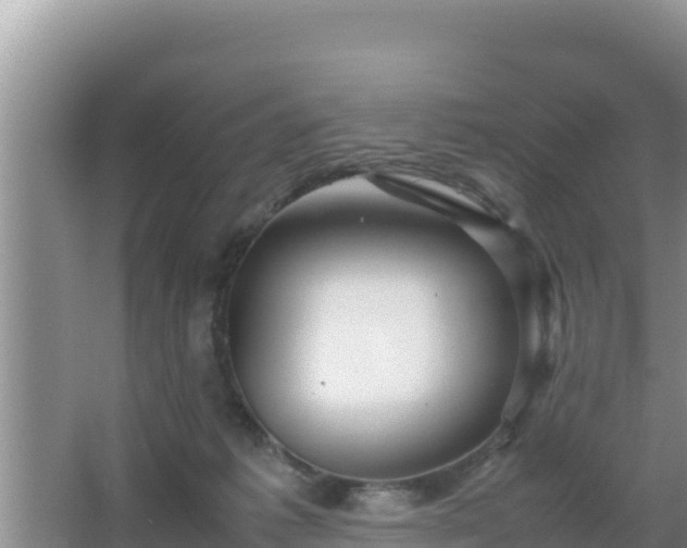 X0000067500221200604150116