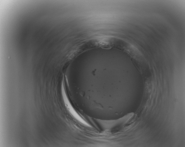 X0000067500223200604150116