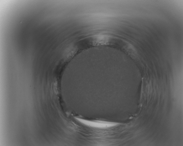 X0000067500224200604150116