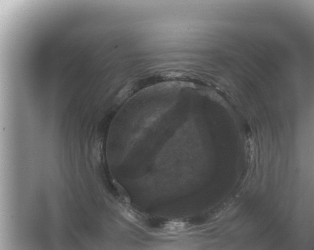 X0000067500227200604150116