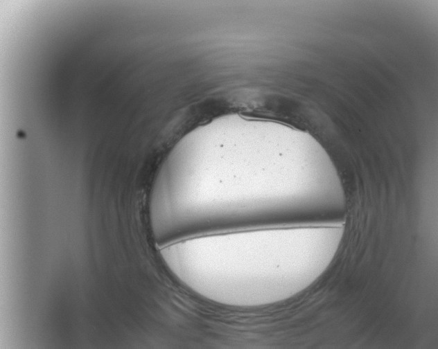 X0000067500229200604150116