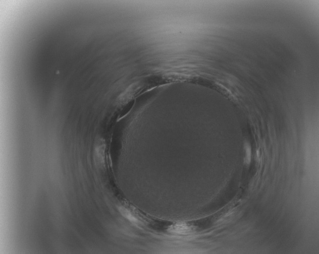 X0000067500231200604150116