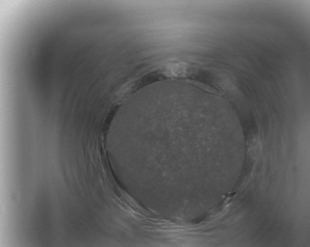 X0000067500233200604150116