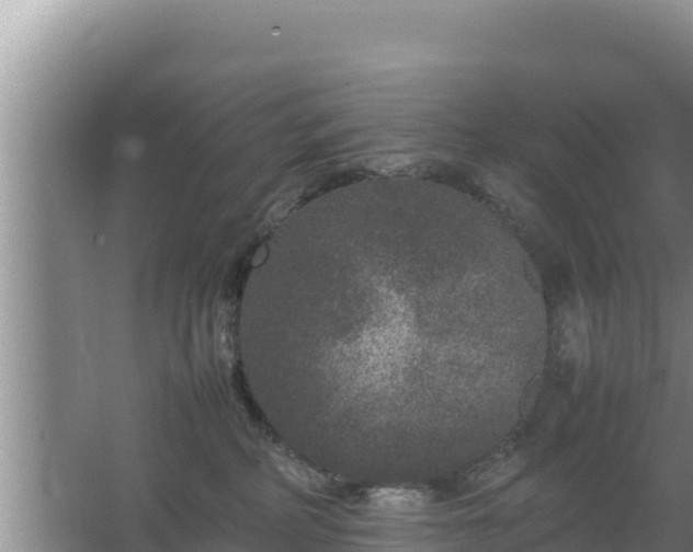 X0000067500234200604150116