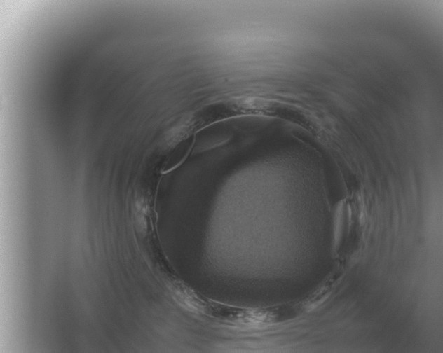 X0000067500235200604150116