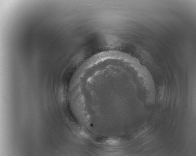 X0000067500236200604150116