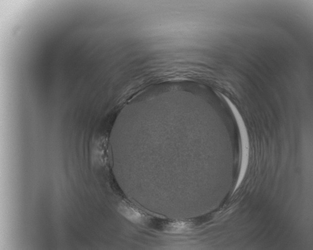 X0000067500237200604150116