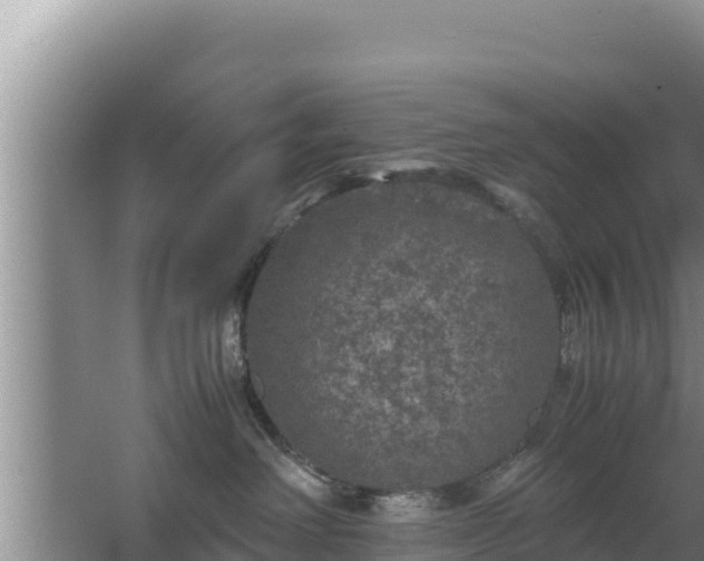 X0000067500238200604150115