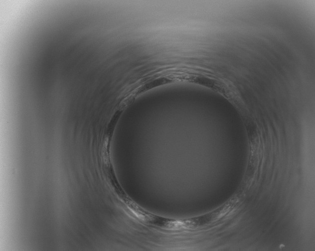 X0000067500239200604150115